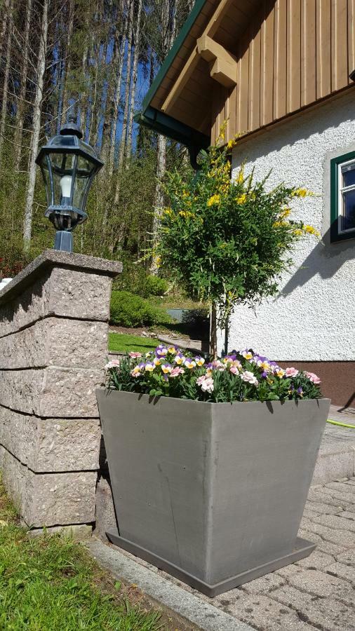Ferienhaus Saxenauer Hinterstoder Exteriör bild